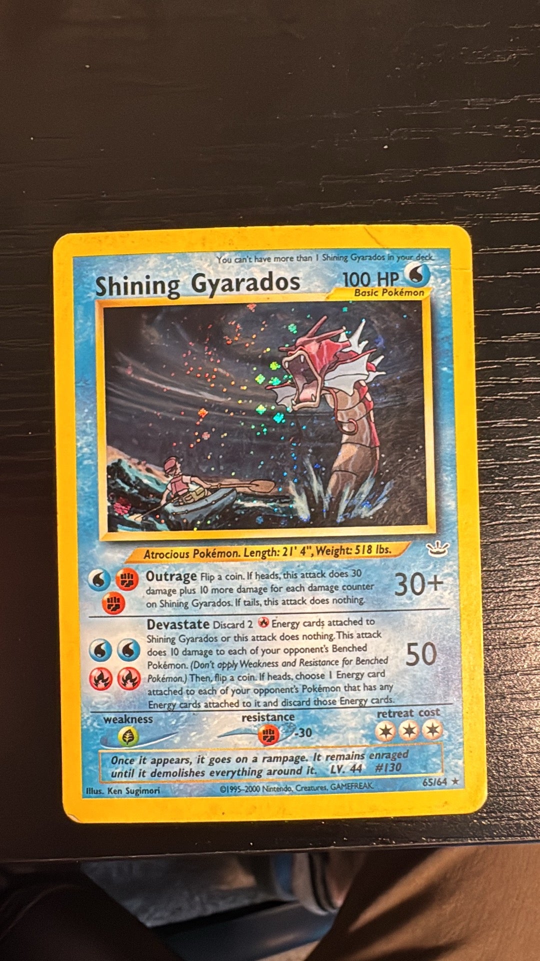 Shining Gyarados Neo revelation DMG.