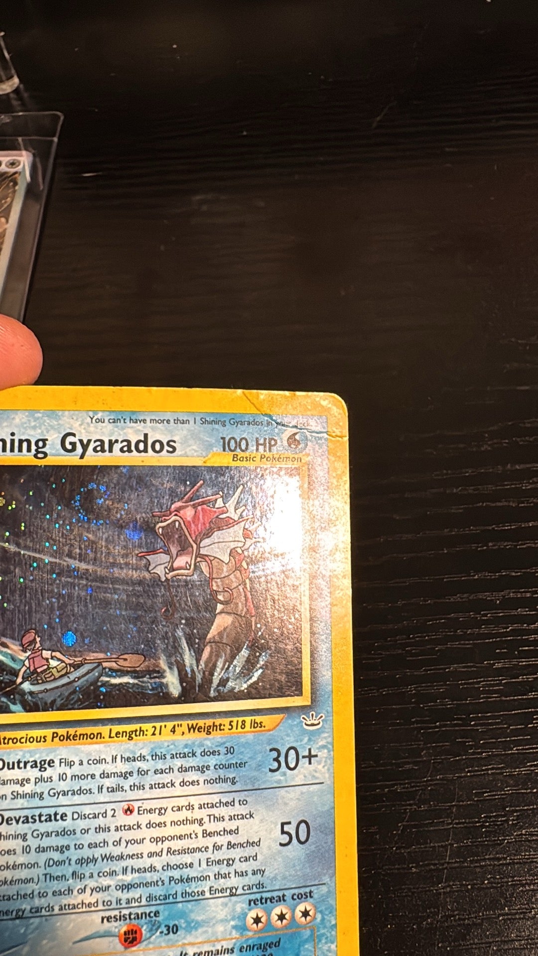 Shining Gyarados Neo revelation DMG.