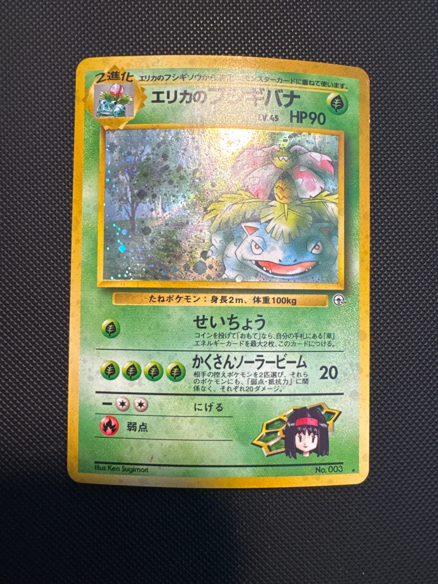 Erika’s venusaur Japanese DMG holo